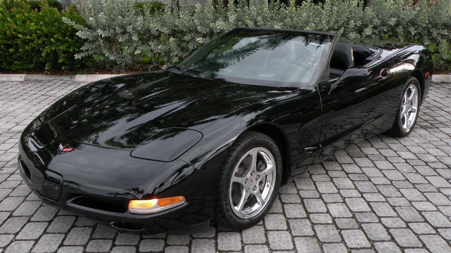 Corvette Generations/C5/C5 2002 Black Std.webp